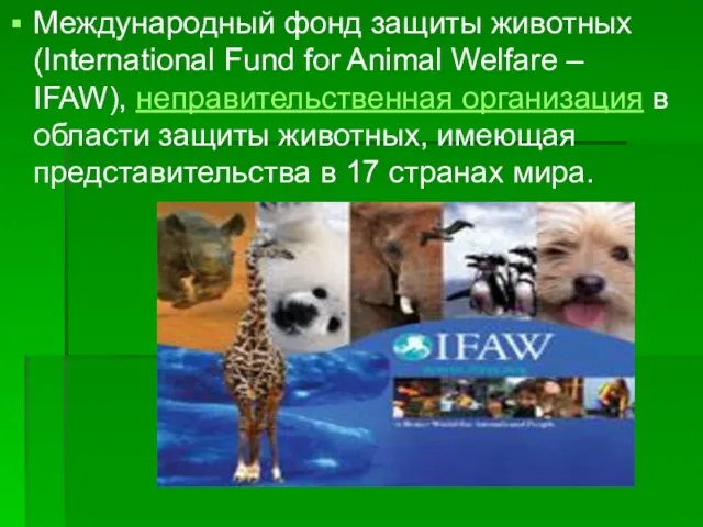 Международный фонд защиты животных (International Fund for Animal Welfare – IFAW), неправительственная