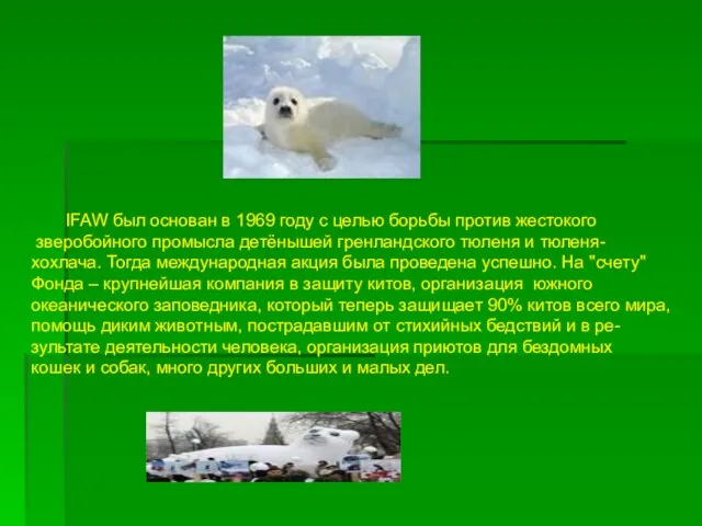 IFAW был основан в 1969 году с целью борьбы против жестокого зверобойного