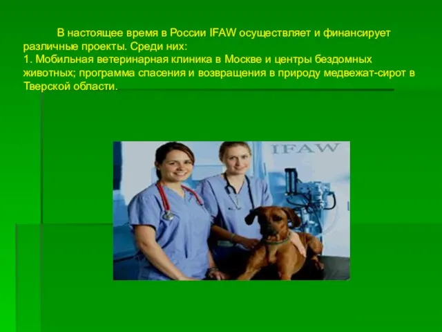 В настоящее время в России IFAW осуществляет и финансирует различные проекты. Среди