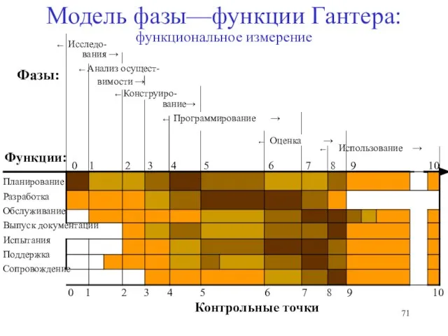 10 Модель фазы—функции Гантера: функциональное измерение Программирование → Оценка → Фазы: 0