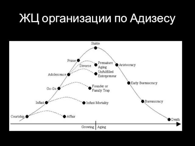 ЖЦ организации по Адизесу