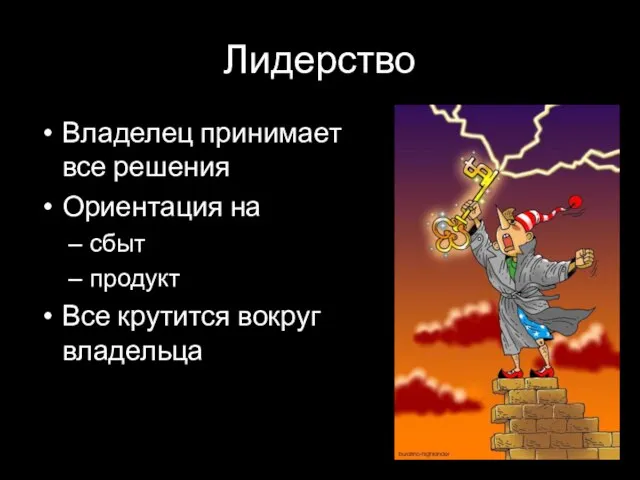 Лидерство Владелец принимает все решения Ориентация на сбыт продукт Все крутится вокруг владельца