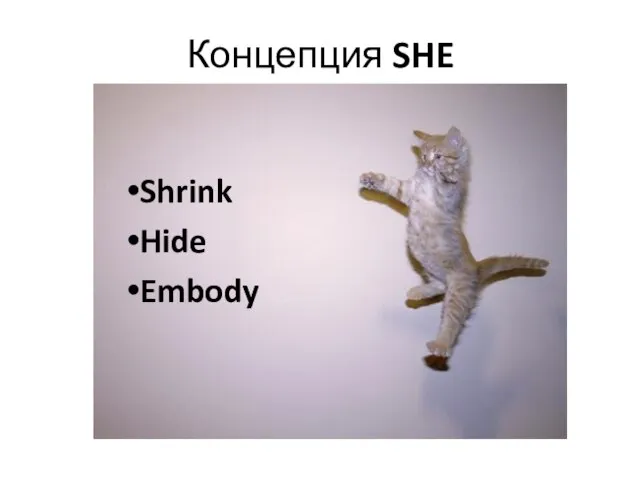 Концепция SHE Shrink Hide Embody