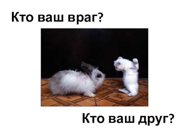 Кто ваш враг? Кто ваш друг?