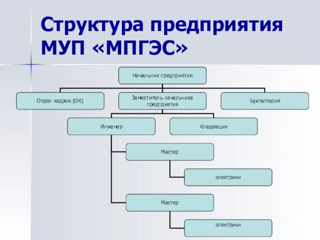 Структура предприятия МУП «МПГЭС»