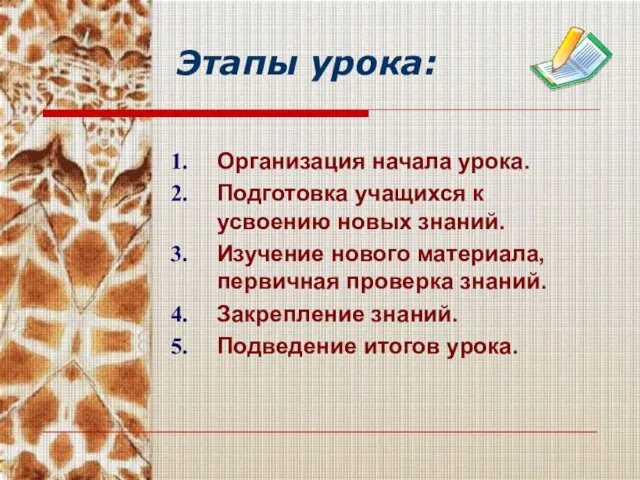 Этапы урока: Организация начала урока. Подготовка учащихся к усвоению новых знаний. Изучение