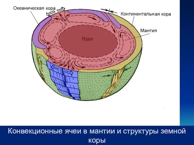 Механики 2013 Конвекционные ячеи в мантии и структуры земной коры