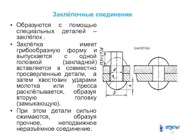 Заклёпочные соединения Образуются с помощью специальных деталей – заклёпок . Заклёпка имеет