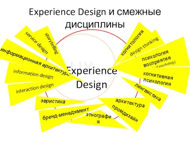 Experience Design и смежные дисциплины UX Experience Design этнография