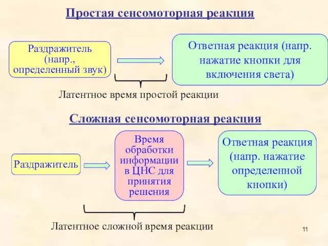 Простая сенсомоторная реакция Раздражитель (напр., определенный звук) Ответная реакция (напр. нажатие кнопки