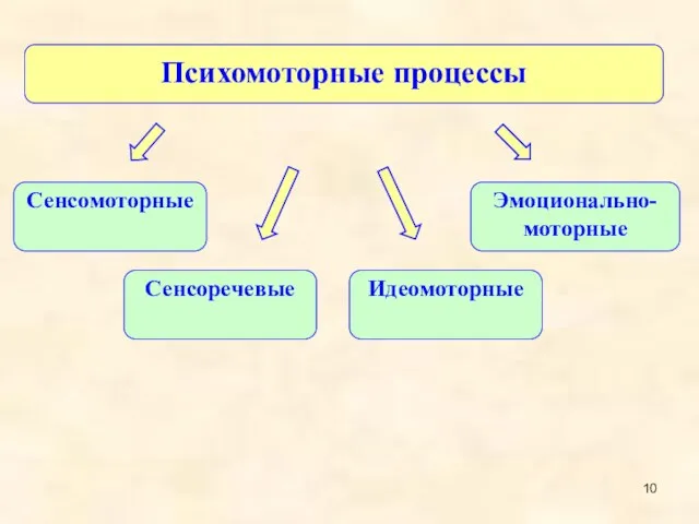 Психомоторные процессы Эмоционально-моторные Сенсомоторные Сенсоречевые Идеомоторные