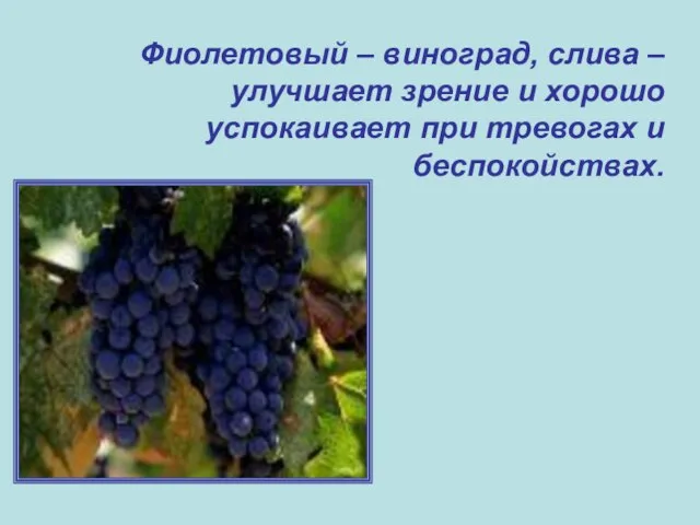 Фиолетовый – виноград, слива – улучшает зрение и хорошо успокаивает при тревогах и беспокойствах.