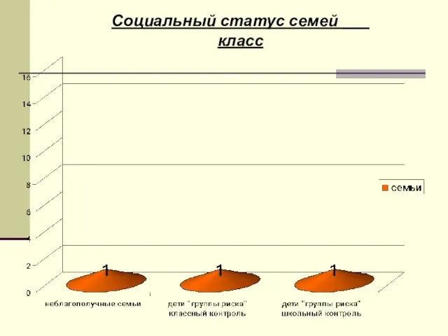 Социальный статус семей ___ класс