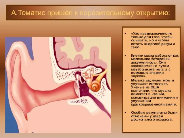 «Ухо предназначено не только для того, чтобы слышать, но и чтобы питать