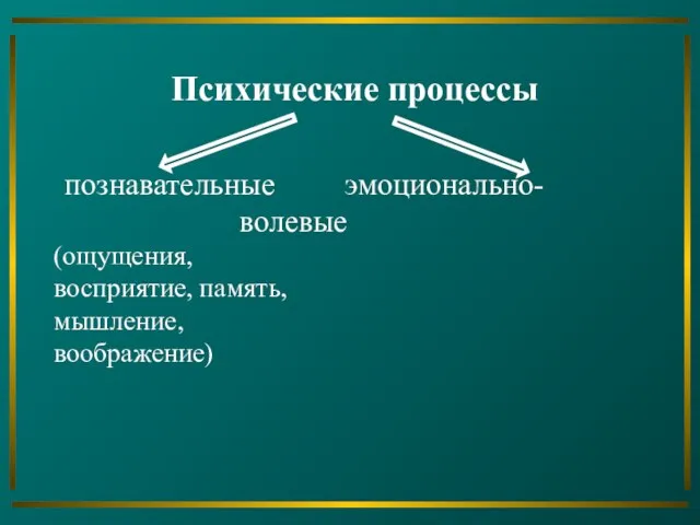 Психические процессы познавательные эмоционально- волевые (ощущения, восприятие, память, мышление, воображение)