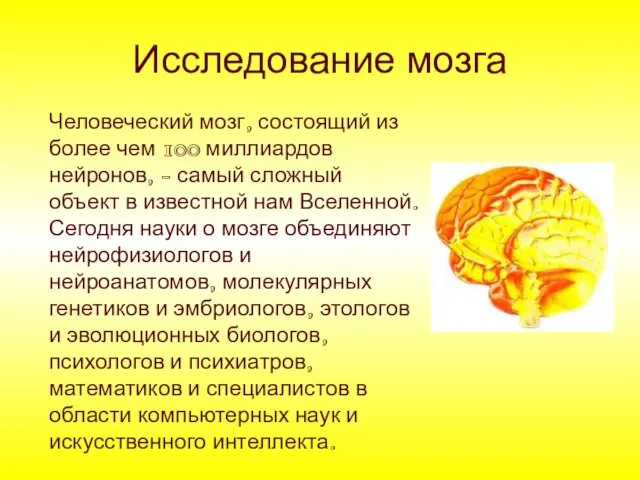 Исследование мозга Человеческий мозг, состоящий из более чем 100 миллиардов нейронов, -