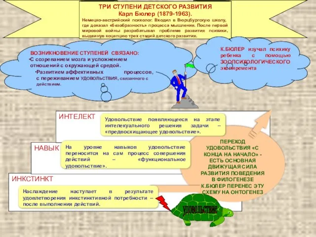 ВОЗНИКНОВЕНИЕ СТУПЕНЕЙ СВЯЗАНО: С созреванием мозга и усложнением отношений с окружающей средой.