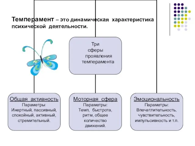 Темперамент – это динамическая характеристика психической деятельности.