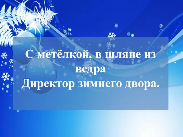 С метёлкой, в шляпе из ведра Директор зимнего двора.