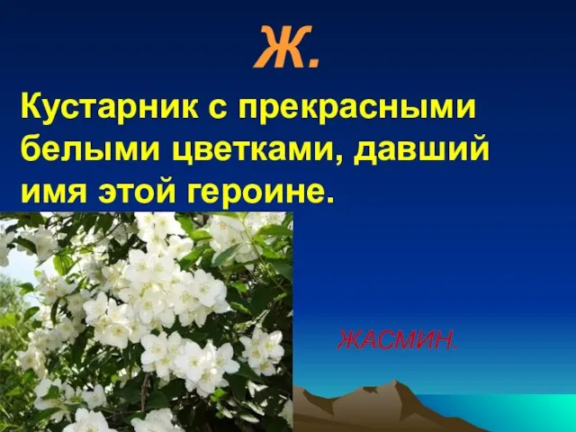 Ж. Кустарник с прекрасными белыми цветками, давший имя этой героине. ЖАСМИН.