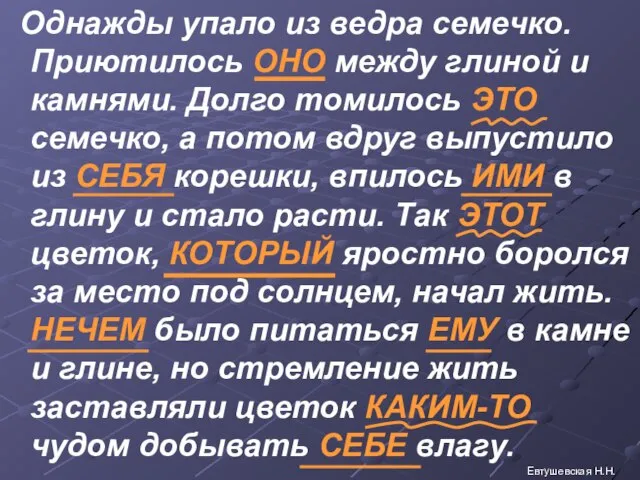 Однажды упало из ведра семечко. Приютилось ОНО между глиной и камнями. Долго