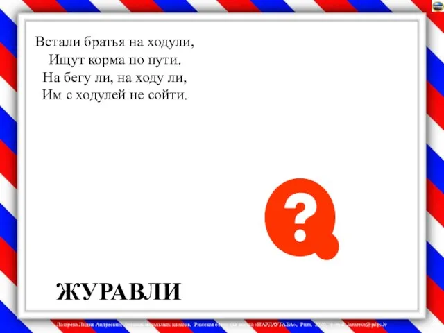 Встали братья на ходули, Ищут корма по пути. На бегу ли, на