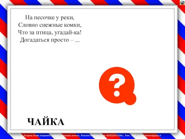 На песочке у реки, Словно снежные комки, Что за птица, угадай-ка! Догадаться просто – ... ЧАЙКА