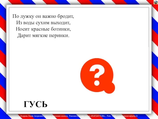 ГУСЬ По лужку он важно бродит, Из воды сухим выходит, Носит красные ботинки, Дарит мягкие перинки.