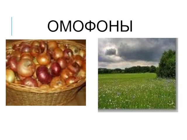 ОМОФОНЫ