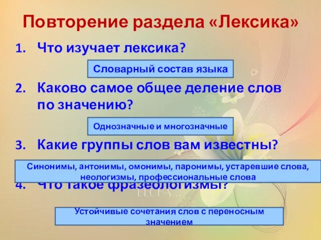 Повторение раздела «Лексика» Что изучает лексика? Каково самое общее деление слов по