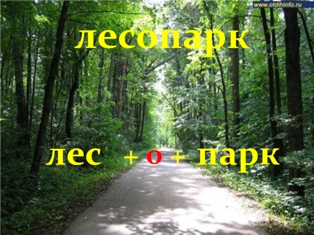 лесопарк лес + о + парк