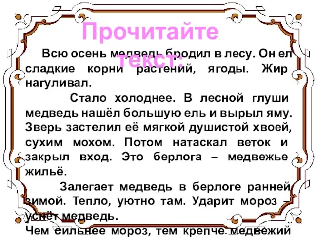 Всю осень медведь бродил в лесу. Он ел сладкие корни растений, ягоды.