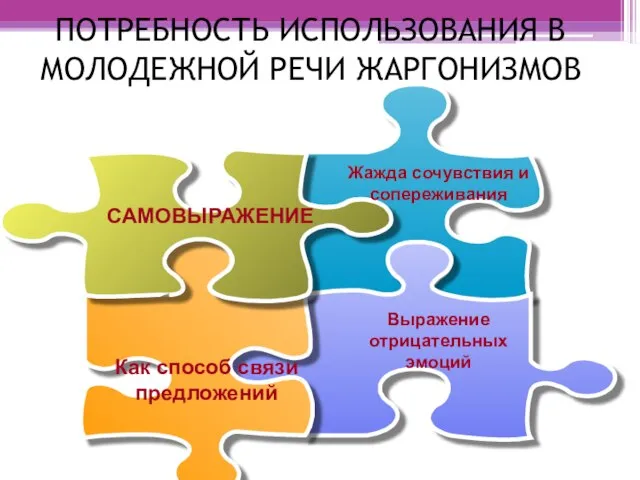 ПОТРЕБНОСТЬ ИСПОЛЬЗОВАНИЯ В МОЛОДЕЖНОЙ РЕЧИ ЖАРГОНИЗМОВ Выражение отрицательных эмоций САМОВЫРАЖЕНИЕ Жажда сочувствия