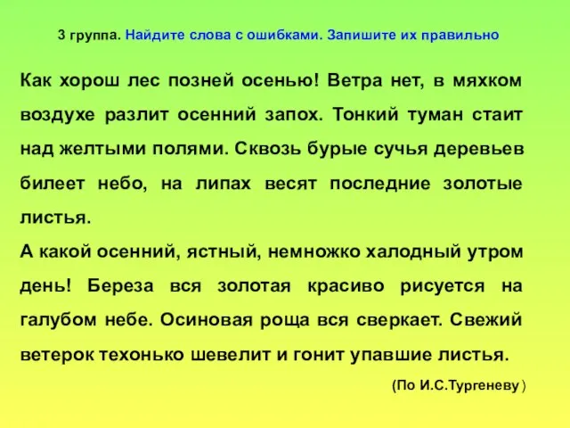 Как хорош лес позней осенью! Ветра нет, в мяхком воздухе разлит осенний