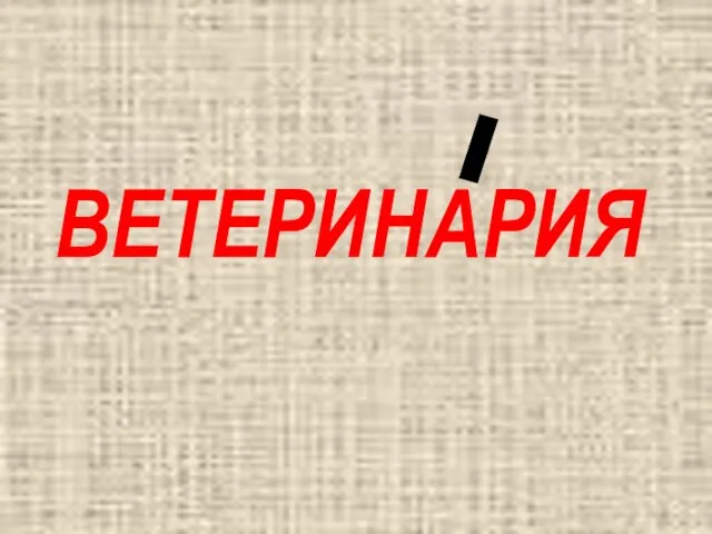 ВЕТЕРИНАРИЯ