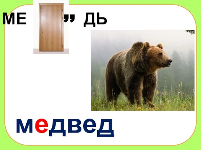 МЕ ДЬ ,, медведь