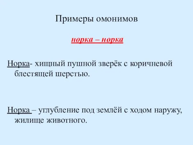 Примеры омонимов норка – норка Норка- хищный пушной зверёк с коричневой блестящей