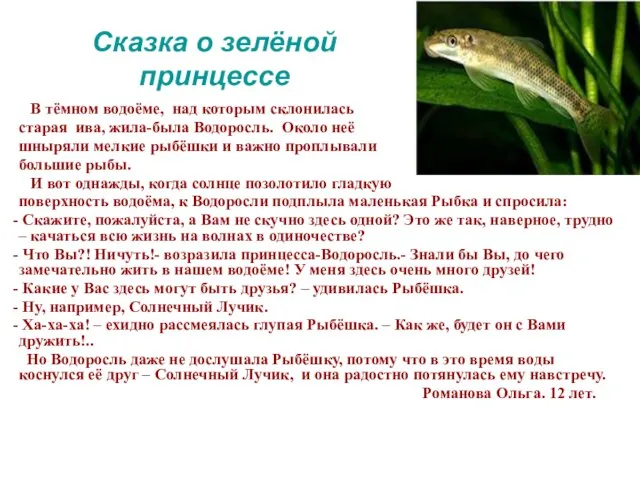 Сказка о зелёной принцессе В тёмном водоёме, над которым склонилась старая ива,