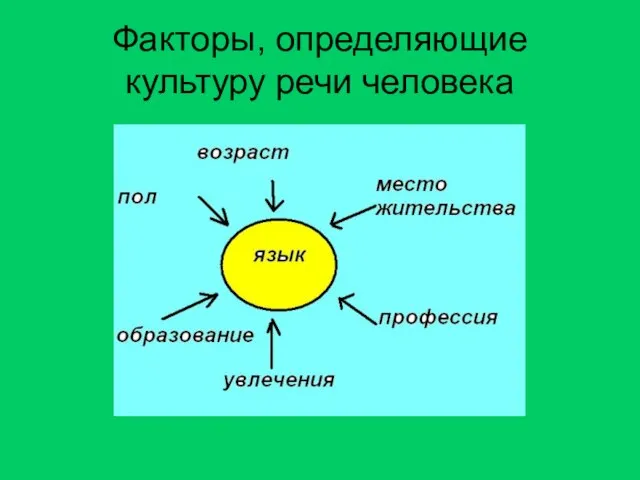 Факторы, определяющие культуру речи человека