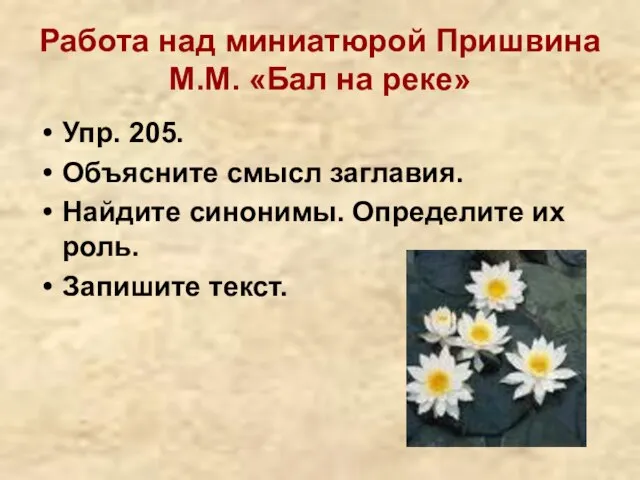 Работа над миниатюрой Пришвина М.М. «Бал на реке» Упр. 205. Объясните смысл