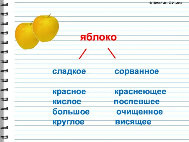 ⁄ яблоко сладкое сорванное красное краснеющее кислое поспевшее большое очищенное круглое висящее ⁄ © Цимерман С.И.,2010