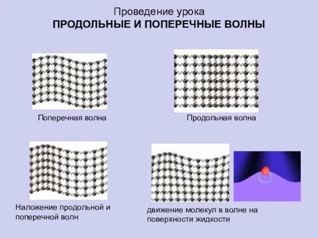 Проведение урока ПРОДОЛЬНЫЕ И ПОПЕРЕЧНЫЕ ВОЛНЫ Поперечная волна Продольная волна Наложение продольной