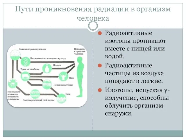 Пути проникновения радиации в организм человека Радиоактивные изотопы проникают вместе с пищей