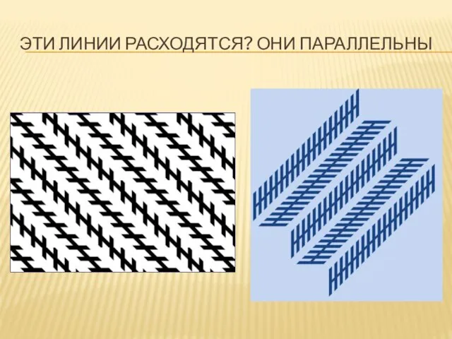 Эти линии расходятся? Они параллельны