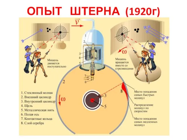 ОПЫТ ШТЕРНА (1920г)