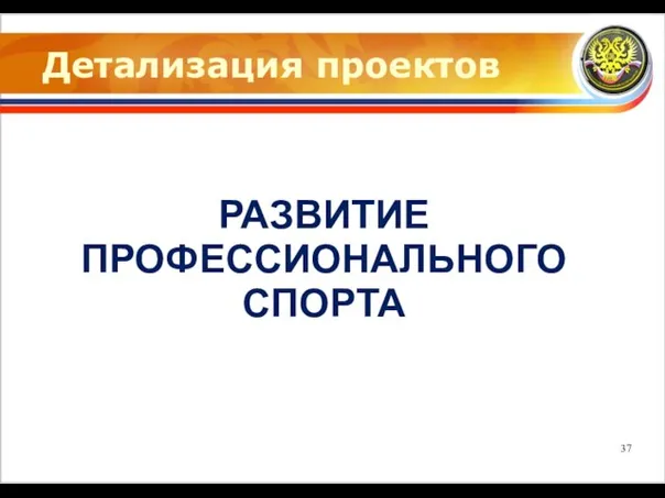 Детализация проектов РАЗВИТИЕ ПРОФЕССИОНАЛЬНОГО СПОРТА