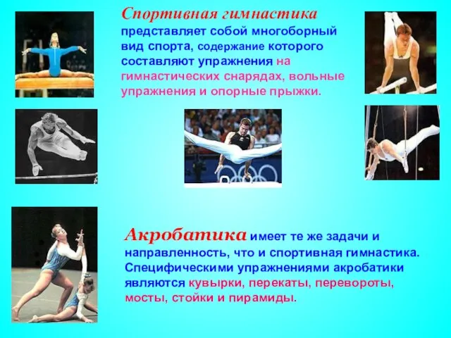 Спортивная гимнастика представляет собой многоборный вид спорта, содержание которого составляют упражнения на
