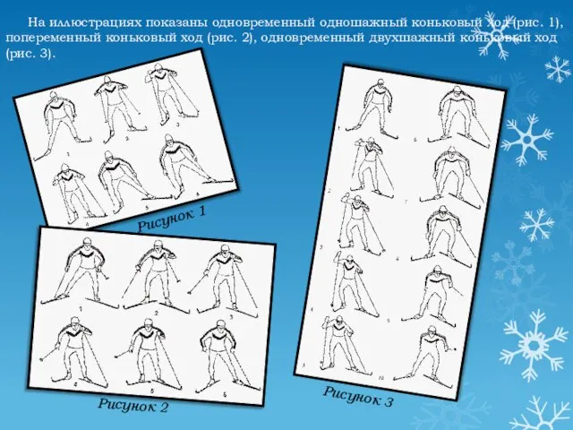 На иллюстрациях показаны одновременный одношажный коньковый ход (рис. 1), попеременный коньковый ход