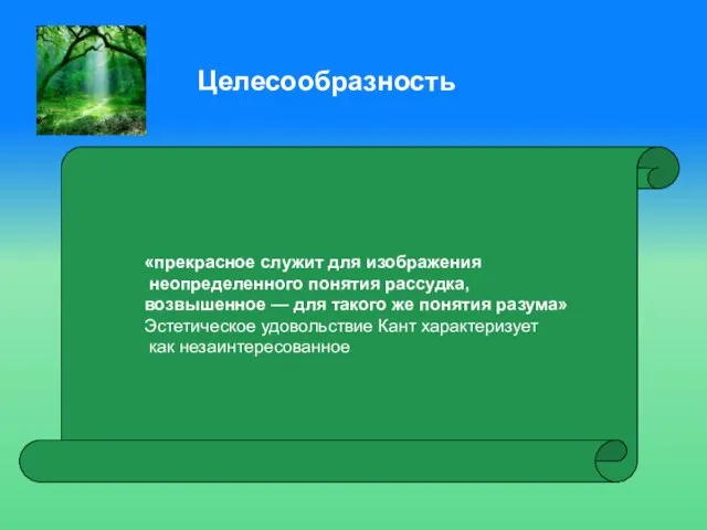 «прекрасное служит для изображения неопределенного понятия рассудка, возвышенное — для такого же