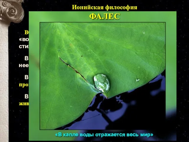 ВОДА - вот такое начало, полагает Фалес; под «водой» он понимает не